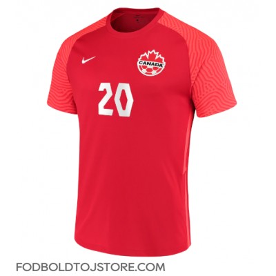 Canada Jonathan David #20 Hjemmebanetrøje VM 2022 Kortærmet